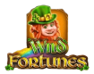 Wild Fortune Slot